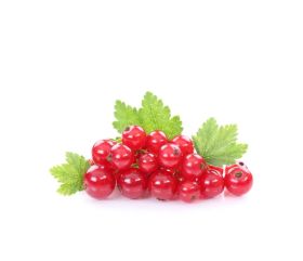 BIO Rote Johannisbeeren Pulver (Gefriergetrocknet)